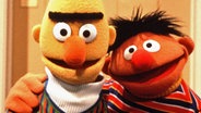 Bert und Ernie aus der Sesamstraße © NDR/Sesame Workshop 