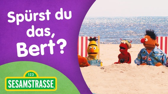 Sesamstraßen Logo, Ernie und Bert am Strand © NDR Foto: Grafik