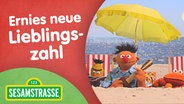 Sesamstraße Logo, Ernie und Bert am Strand © NDR Foto: Grafik