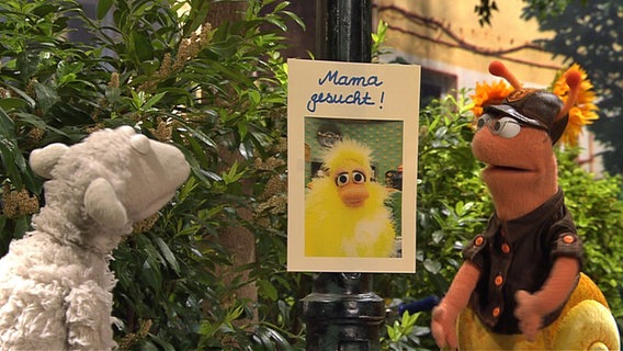 Wolle und Finchen betrachten das Plakat "Mama gesucht". © NDR Foto: screenshot