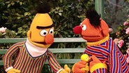 Ernie und Bert reden über Quietscheentchen.  