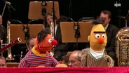 Ernie und Bert beim Konzert mit der NDR Radiophilharmonie © NDR 