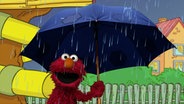 Hat Spaß im Regen: Elmo © NDR/Sesameworkshop Foto: Screenshot