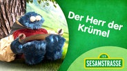 Sesamstraße "Der Herr der Krümel" © NDR 