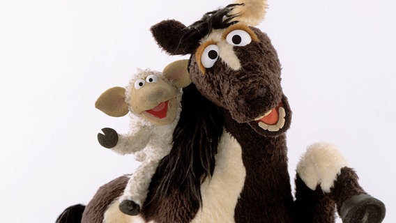 Pferd und Wolle aus der "Sesamstraße" © NDR/Sesame Workshop 
