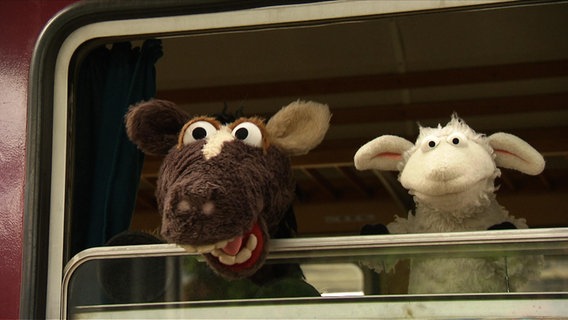 Wolle und Pferd schauen aus einem Zugabteilfenster © NDR / Uwe Ernst 