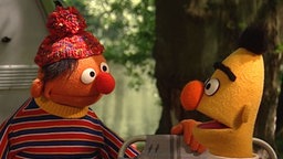 Ernie mit Mütze und Bert im Liegestuhl © NDR Foto: screenshot