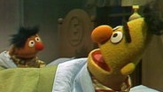 Ernie und Bert singen das Schlaflied "Magst du mich?" © NDR 